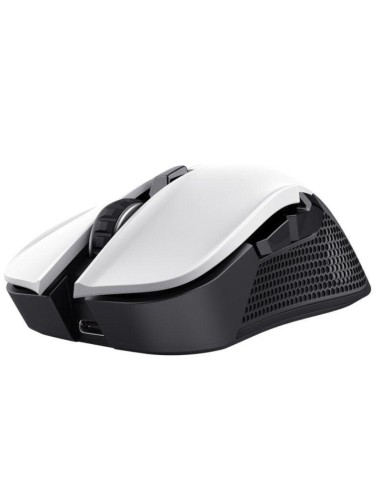 RATON TRUST YBAR GXT923W WIRELESS RGB WHITE